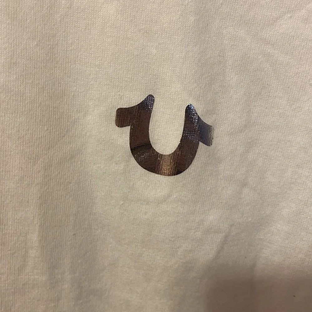 True Religion Shirt (BIN H)
